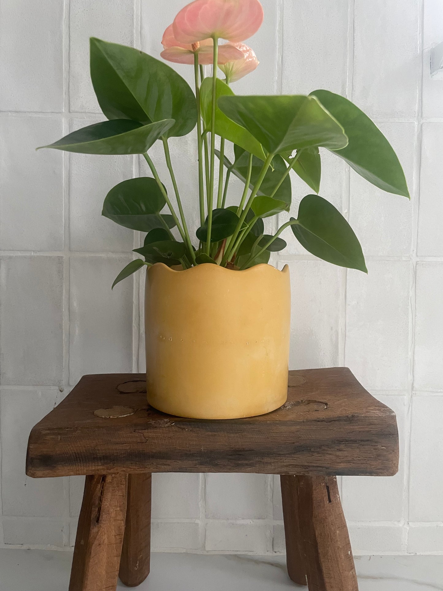 Mustard Yellow Wavy Planter