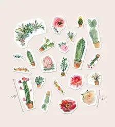 Home Decor Tattoos - Cacti | DIY upcycle kit