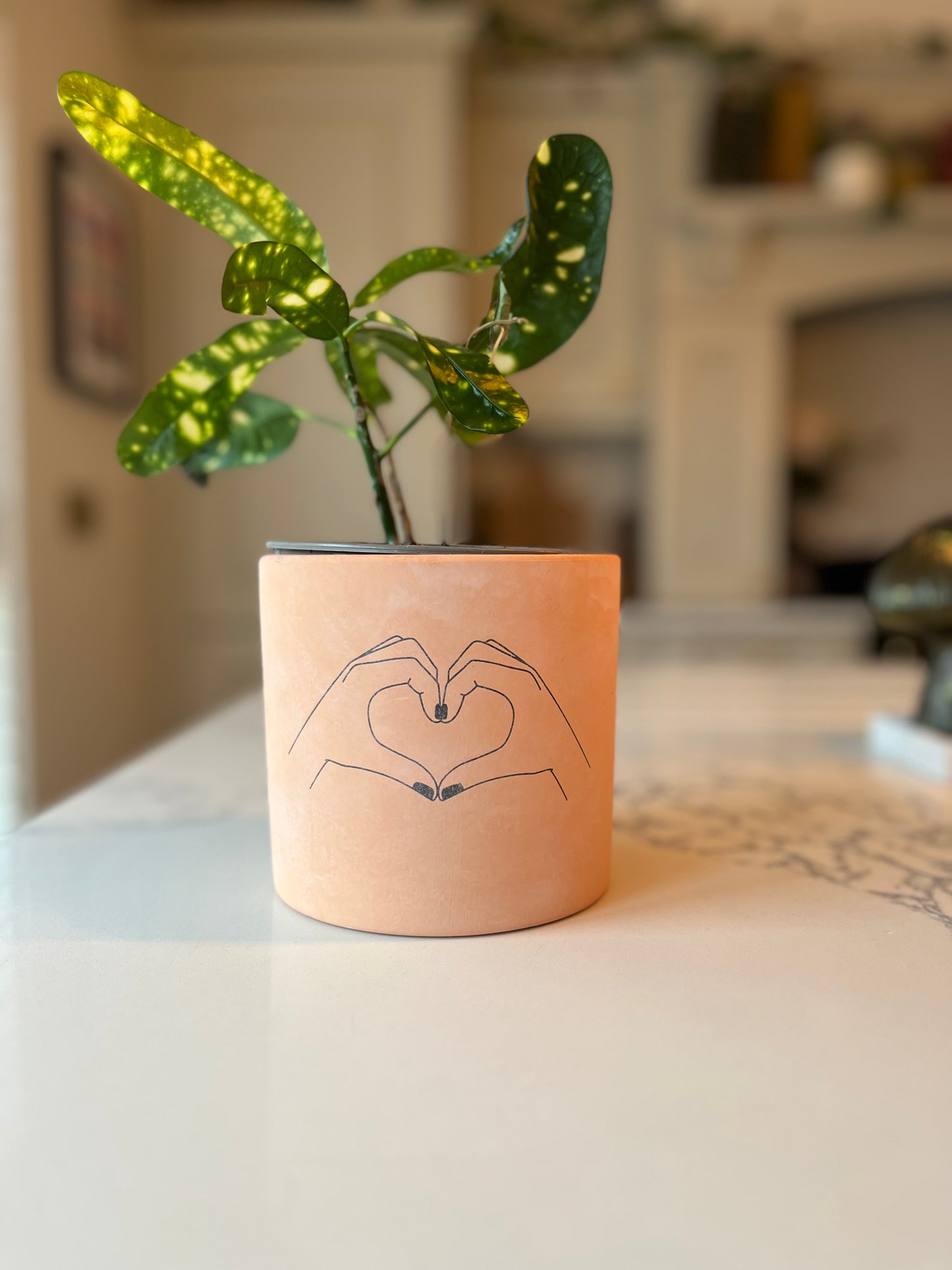 Heart Hands Planter | Unique Ceramic Plant Pot for Home & Gifting