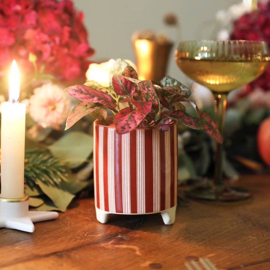 Red Candy Cane Stripe Mini Planter